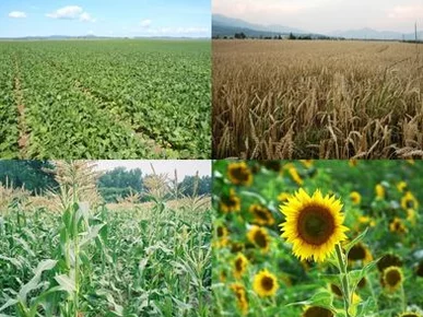 bionat organics organicke kvapalne hnojivo bionat organics organicke kvapalne hnojivo